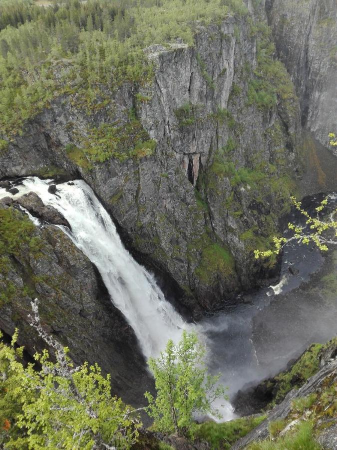 Liseth Pensjonat Og Hyttetun Eidfjord Eksteriør billede
